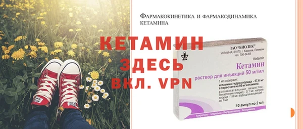 шишки Абаза