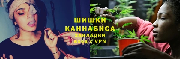 амф Магас