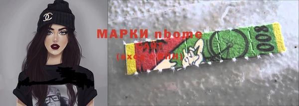 шишки Абаза