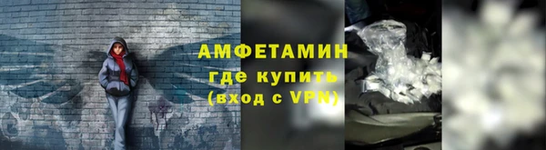 шишки Абаза