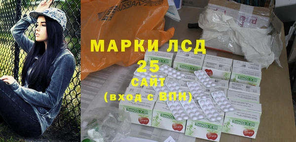 шишки Абаза