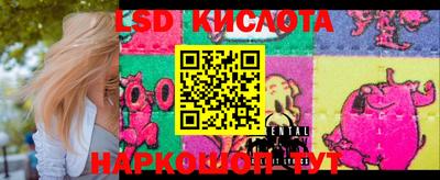 СК Заводоуковск