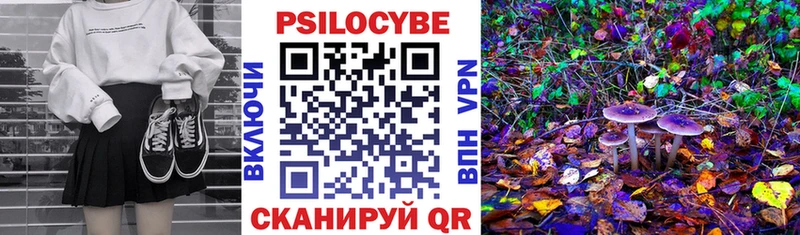 цены   Нижневартовск  Галлюциногенные грибы Cubensis 