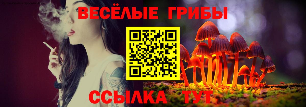 Галлюциногенные грибы GOLDEN TEACHER Нижневартовск