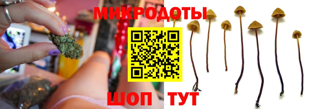 Псилоцибиновые грибы прущие грибы  Вход с VPN  как найти закладки  Галлюциногенные грибы MAGIC MUSHROOMS  Нижневартовск 